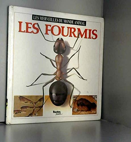 Les fourmis